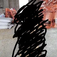 سگ پیدا شده