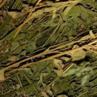 یونجه ریز قلم