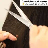 موخوره گیری به سبک روسی بدون کوتاهی قد مو|خدمات آرایشگری و زیبایی|صدرا-فارس, فاز ۱|دیوار