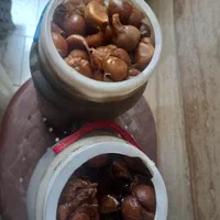 سیر ترشی ۵ساله|خوردنی و آشامیدنی|تهران, خاوران|دیوار