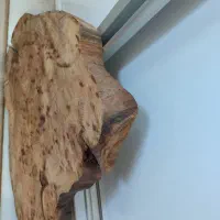 تخته چوب،مناسب پرداخت|ابزارآلات|گلستان (تهران), |دیوار