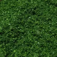 ترش واش چرخ شده وسبزی خوردشده|حراج|لنگرود, |دیوار