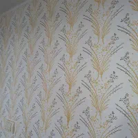 طرح کاغذ دیواری|کلکسیون و سرگرمی|سلماس, |دیوار