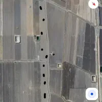 زمین کشاورزی