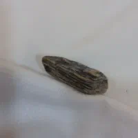 شهاب سنگ|جواهرات|گرگان, |دیوار