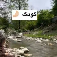 زمینی به متراژ۲۰۰متر سوادکوه قیمت ۸۰۰ میلیون