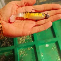 انواع طعمه اردک.سوف. اسبله.ماش