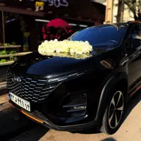 ماشین عروس|گل و گیاه طبیعی|اهواز, کیان اباد|دیوار