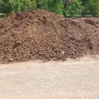 کود گاوی