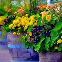 باغبانی شهرک غرب مرزداران باغ فیض فاطمه