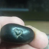 دونه سیاه( هسته عطیقه)