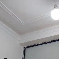 گچ‌ کاری‌ و لکه گیری