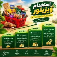استخدام ویزیتور