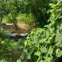 فروش-زمین-مسکونی