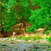 زمین طرح هادی هماشهر سند تکبرک