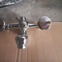 دو عدد شیر