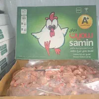 کتف و بال مرغ