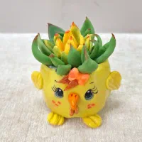 کاکتوسهای فانتزی