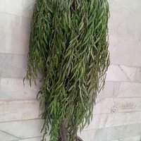 درخت بید مصنوعی