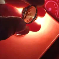 انگشتر شجردست ساز