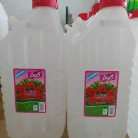 تولید و پخش مواد غذایی|خوردنی و آشامیدنی|کرج, میدان میوه و تره بار مرکزی|دیوار