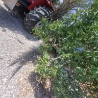 تراکتور ۴۷۵ تک مدل ۱۴۰۱|خودرو سنگین|بندرعباس, |دیوار