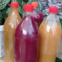 سیر خشک محلی روب انار روب الوچه اب انار ابغوره|خوردنی و آشامیدنی|ماکلوان, |دیوار