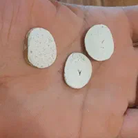 مهره نگین کسب کار