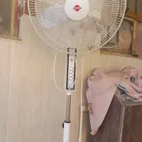 پنکه فقط موتور ش سوخته|پنکه و تصفیهکنندهٔ هوا|زابل, |دیوار