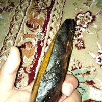 سنگ کهربا کلکسیونی به این زیبای|کلکسیون اشیاء عتیقه|تهران, تهرانسر شرقی|دیوار