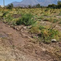 فروش زمین کشاورزی  به متراژ ۱ هکتاردر شهر هادیشهر|اجارهٔ دفتر صنعتی، کشاورزی، تجاری|جلفا, |دیوار