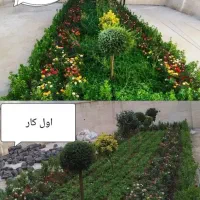 خدمات باغبانی گلکاری هرس کودهی تعویض خاک گلدان