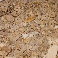 نون خشک تمیز