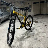 دوچرخه حرفه ای اورلورد