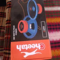 باند مارک چیتا|صوتی و تصویری|شیراز, کوشک میدان|دیوار