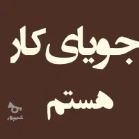 دانشجوام. دنبال کارم