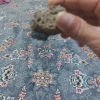 شهاب سنگ|کلکسیون اشیاء عتیقه|کازرون, |دیوار