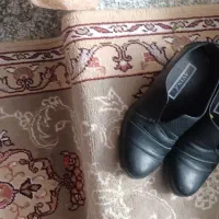 کفش وکیف|کیف، کفش، کمربند|میاندوآب, |دیوار