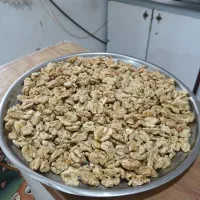 گردو