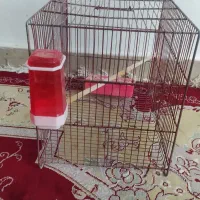 قفس درحد نو|پرنده|ملکشاهی, |دیوار