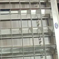 شاهچراغ چراغ سالن سقفی