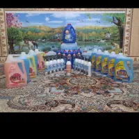 نمایندگی شوینده نیلی فریاد