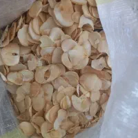فروش موسیر خشک صادراتی