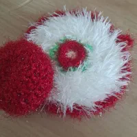 ظرفشوی نرمالو و سیم ظرفشوی کاور دار