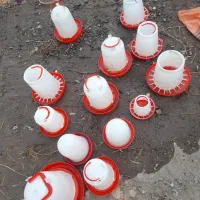دانخوری جوجه سبد مرغ