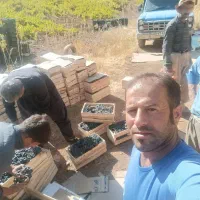 فروشی|حراج|رشت, آب و برق|دیوار