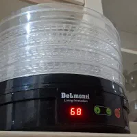 میوه خشک کن دلمونی delmonti