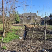 زمین-200متر-با-بر-12-متر-بر-اصلی-طش-مسکونی