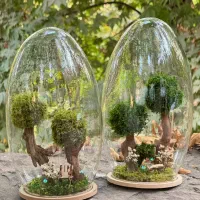 نیروی تولید گیفت های خزه ای|استخدام صنعتی، فنی، مهندسی|تهران, جماران (نیاوران)|دیوار