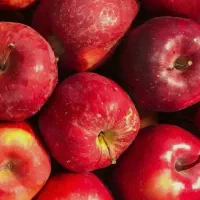 دو عدد بلیط کنسرت آروم افشار تالار احسان/ ۱۳مهر